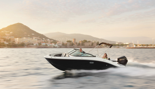 Катер Sea Ray SPX 210 OB\871 (Outboard)